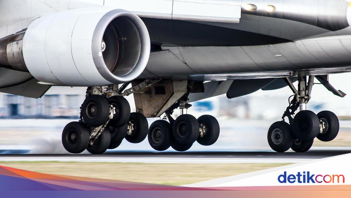 Photo: detik.com Mysterious Decayed Body Found in Kuala Lumpur Airport Plane Wheel