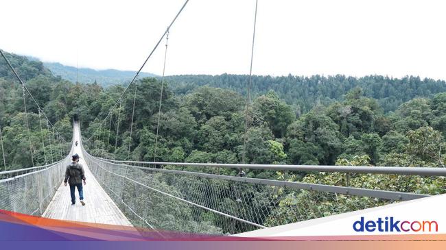 Daya Tarik Jembatan Gantung Sukabumi, Lengkap dengan Harga dan Fasilitasnya