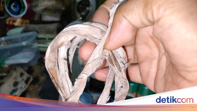 Woman in Surabaya Confesses Regret Stealing Pocong Tali