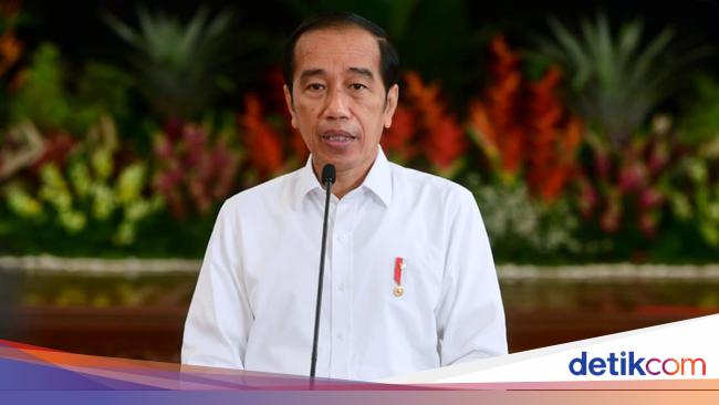 Jokowi Immediately Appoints Head of Archipelago IKN Authority: Non-Party