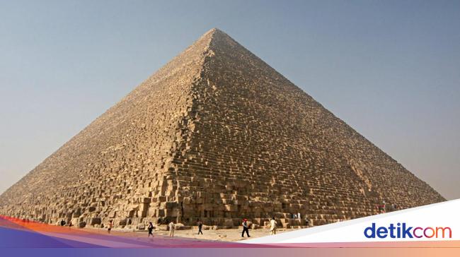 一只狗在吉萨大金字塔顶端的神奇时刻 一只狗在吉萨大金字塔顶端的神奇时刻