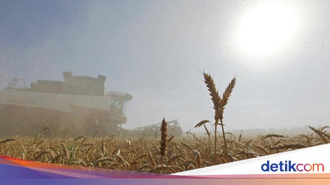 Deal! RI Borong Gandum-Minyak AS
