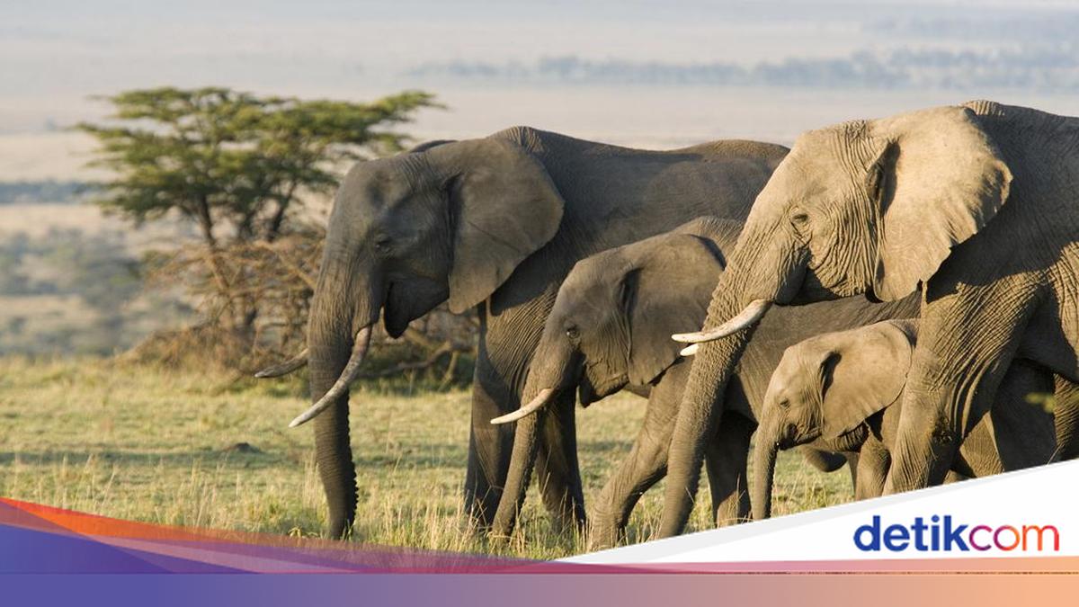 Video Salma Hayek dushda jinsiy aloqa qilayotganga o‘xshaydi.