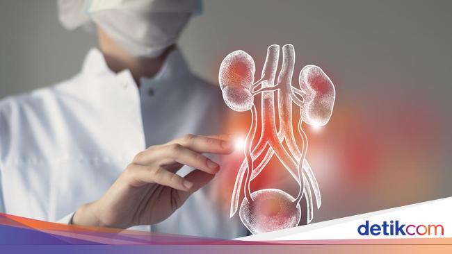 Know Kidney Disease, Symptoms and Causes You Need to Know