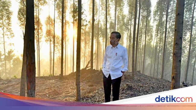 PDIP Senior Reveals 4 Ministers State Willing to Run for Presidential Election to Jokowi