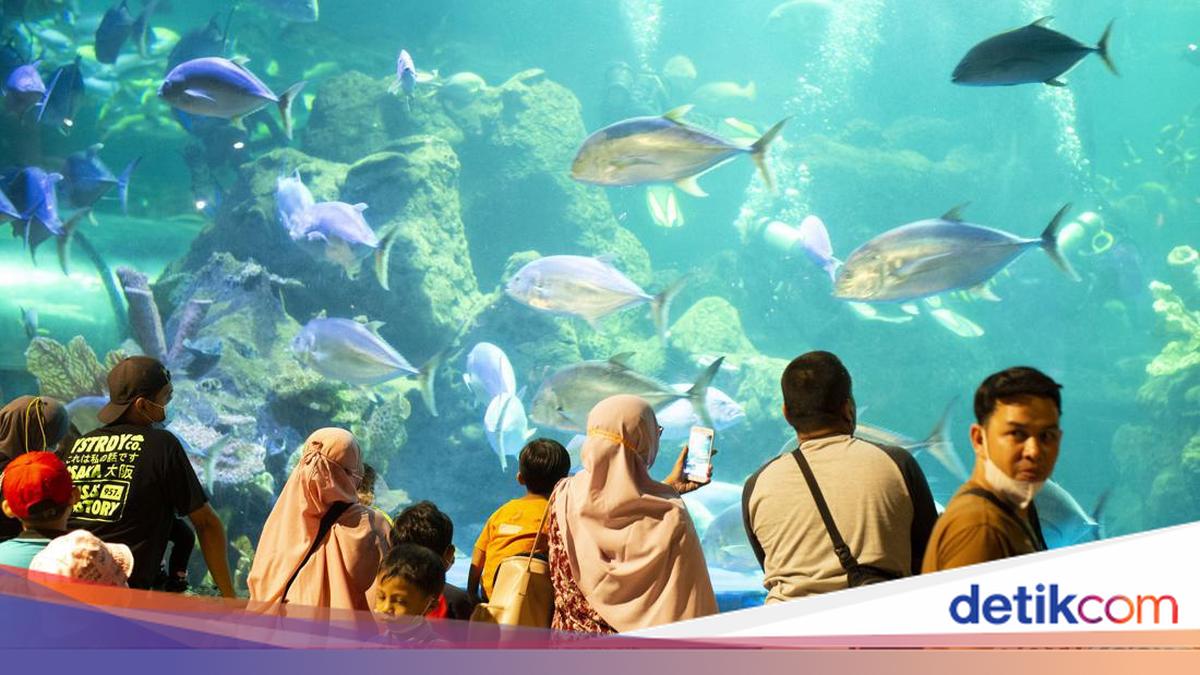 10 Wisata Indoor di Jakarta dan Sekitarnya, Nggak Usah Takut Kehujanan! 10 Wisata Indoor di Jakarta dan Sekitarnya, Nggak Usah Takut Kehujanan!