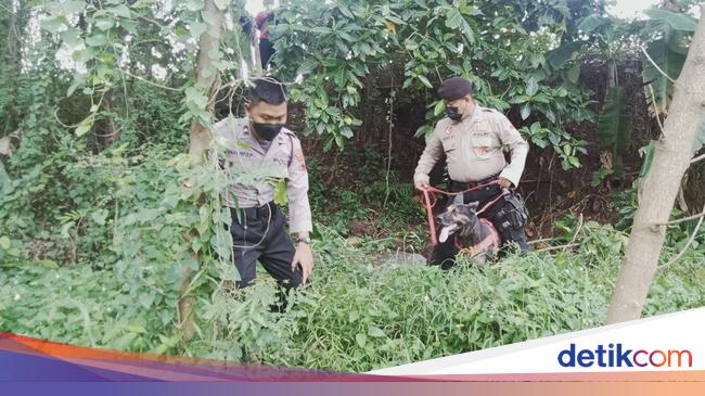 The Identity of the Body of a Naked Woman in the Klaten Rice Fields Revealed