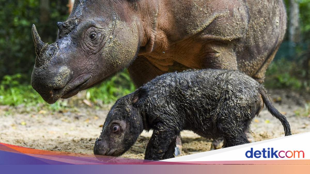 Catat! Taman Nasional dan Taman Wisata Alam Kemenhut Tutup Selama Libur Lebaran