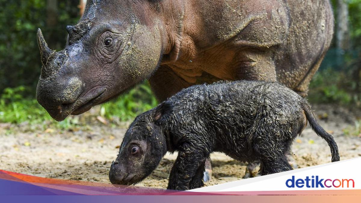 Catat! Taman Nasional dan Taman Wisata Alam Kemenhut Yang Tutup di Libur Lebaran