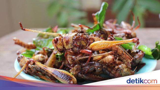 Belalang Goreng Populer di Gunung Kidul, Halal Dikonsumsi Muslim