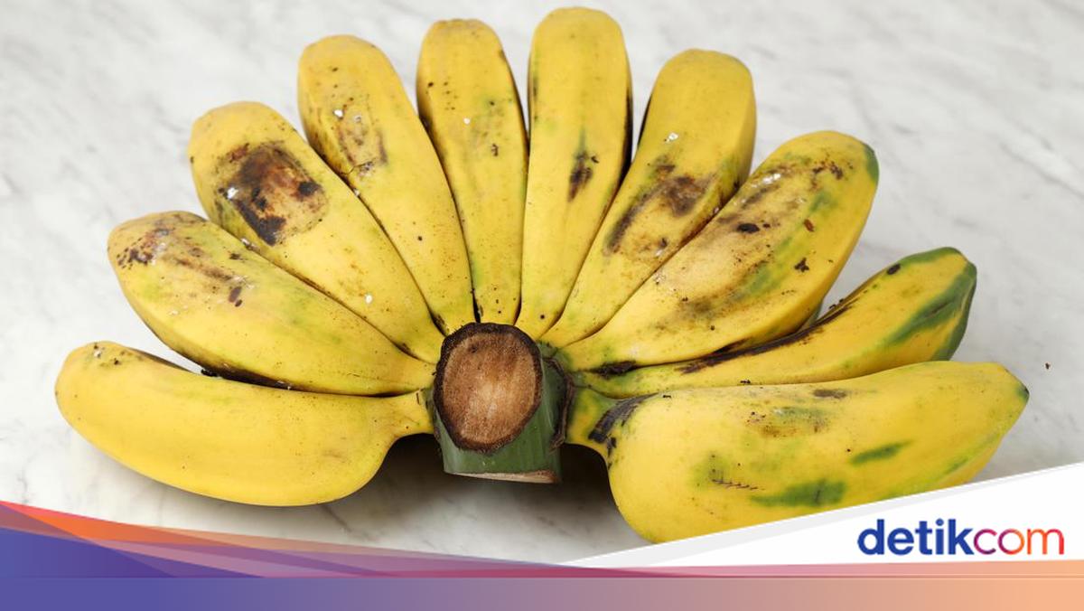 https://awsimages.detik.net.id/api/wm/2022/04/03/resep-setup-pisang-kepok-kuning-2_169.jpeg?t=jpeg&v=1&w=1200&wid=60