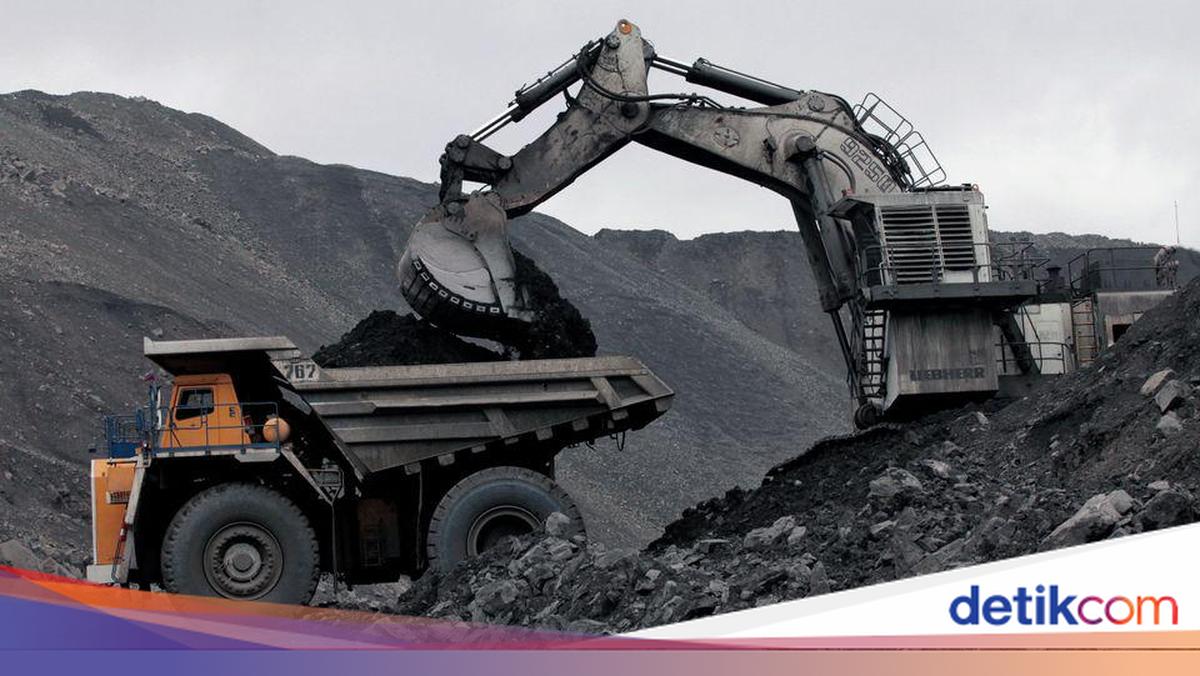 Tok! Koperasi Resmi Bisa Garap Tambang Mineral &amp; Batu Bara