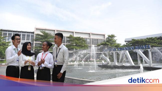 Lulusan STAN Dapat Gaji Segini, Simak Pilihan Prodinya!