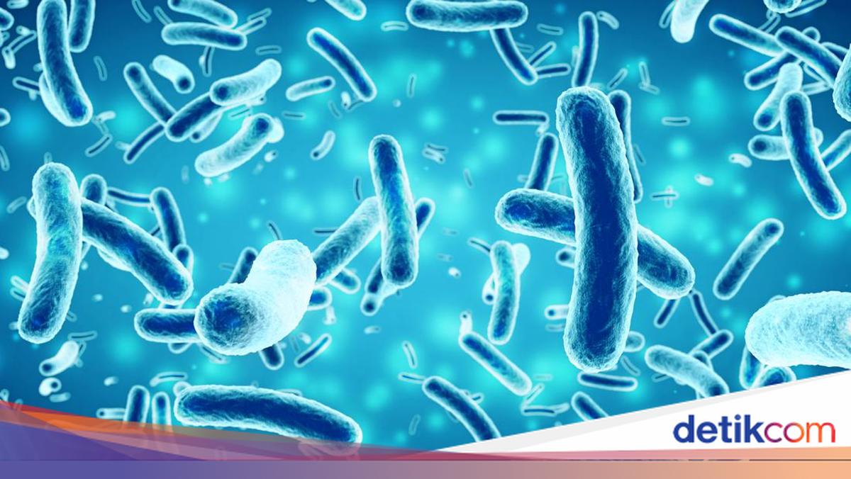 Apa Saja Perbedaan Monera dan Protista? Begini Penjelasannya