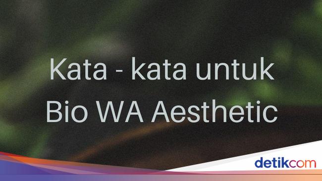 45 Kata-kata untuk Bio WA Bahasa Inggris dan Artinya, Bijak hingga