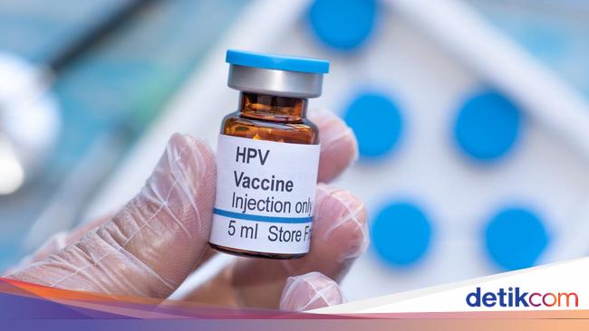 What is the HPV Vaccine for?  These are the Uses and Terms of the Recipient