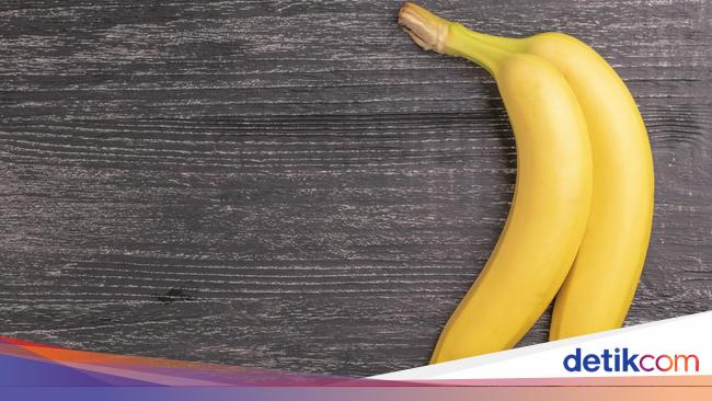 Biphalli Ada 3 Jenis Diphallia alias Penis Ganda, Apa Saja Bedanya?