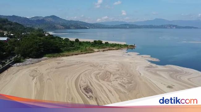 Viral Laut Bima Berubah Warna Cokelat Dlh Ambil Sampel Air