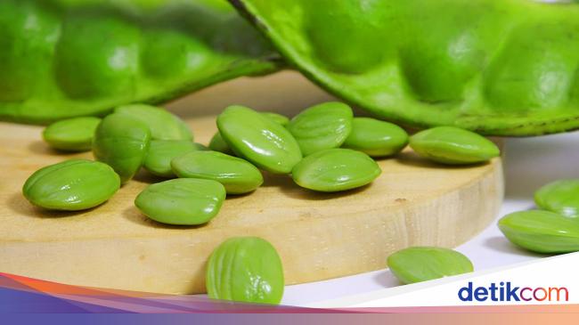 Can Eating Petai Harm Your Kidneys? This is the Herbal Doctor’s explanation