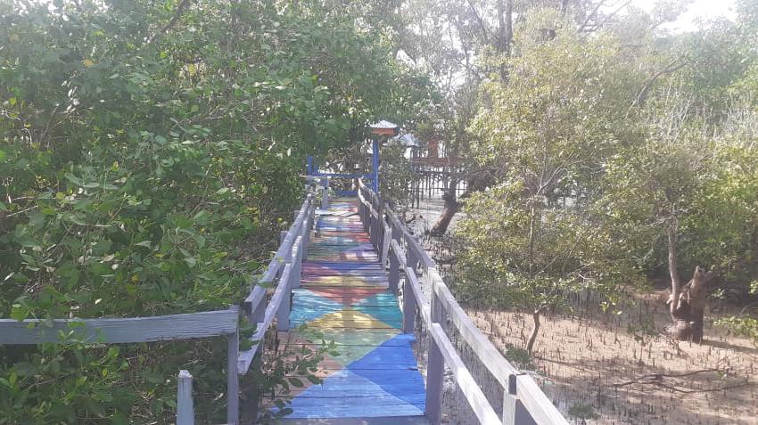 Ekowisata Mangrove Oesapa Barat, Oase Di Tengah Kota Kupang