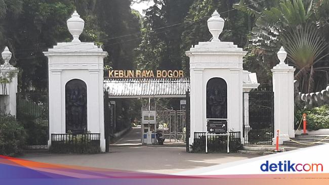 6 Fakta Rombongan Paksa Masuk Kebun Raya Bogor Bikin Sekuriti Terluka