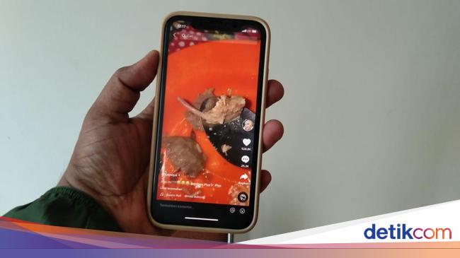 TikTok Account Owner Explains About Meatball Video Allegedly Rat Meat to Police