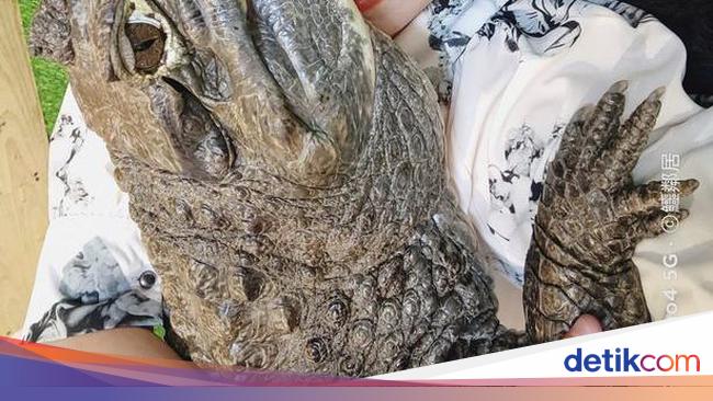 8 Potret Viral Wanita Yang Pelihara 6 Buaya Di Rumah Nggak Ada Takut