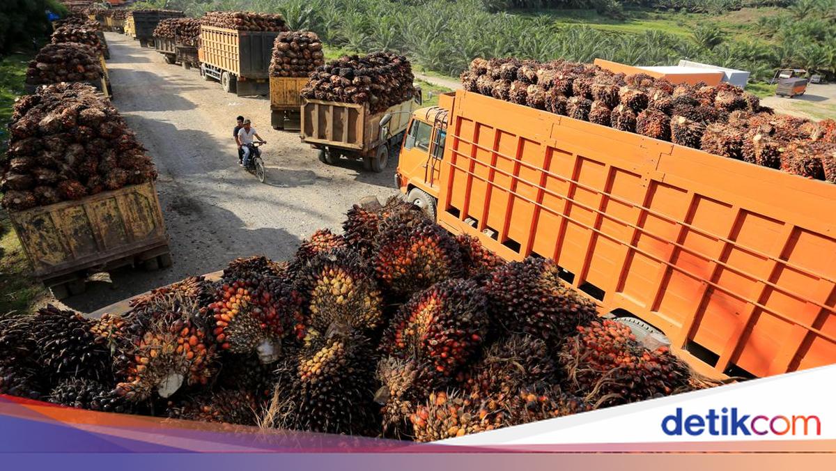 Devisa Ekspor Wajib Diparkir di Himbara, OJK Ungkap Nasib Bank Swasta