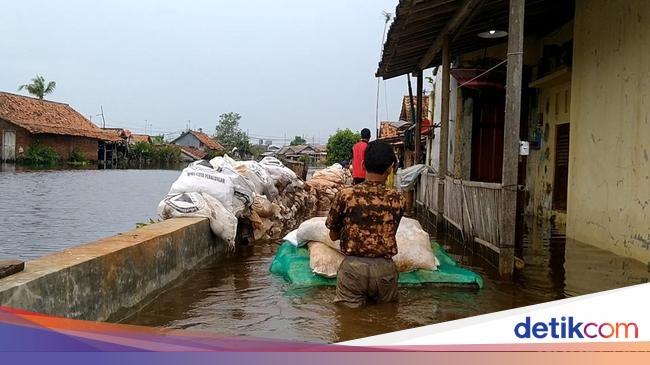 Pekalongan Masih Direndam Banjir Rob Pembuatan Tanggul Darurat Belum