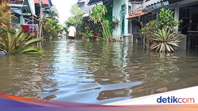Banjir Rob di Demak, Rumah Masih TerendamWarga Bertahan di Pengungsian