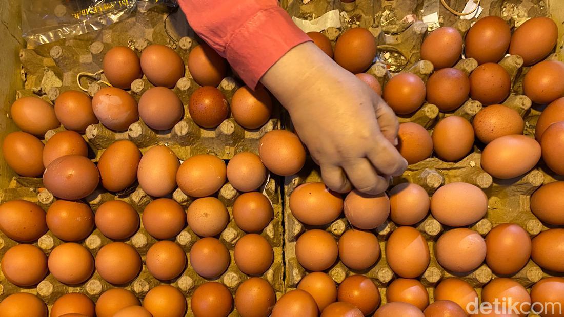 Terungkap! Ini Biang Kerok Harga Telur Ayam Sampai Rp 33.000/kg