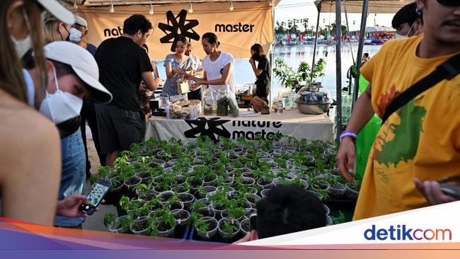 Cannabis Festival Held Festively in Thailand, Take a Peek at the Appearance