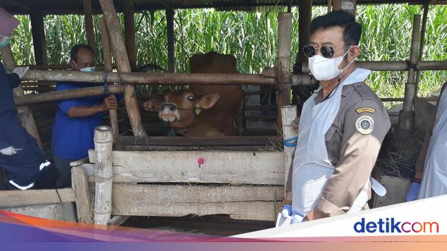 Mentan Pimpin Apel Siaga PMK, Sapi-sapi di Jateng Mulai Divaksin