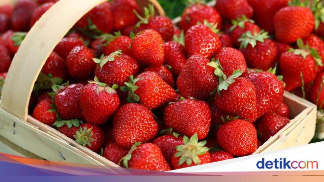 7 avantages sains de manger des fraises, prévenir le cancer et les maladies cardiaques