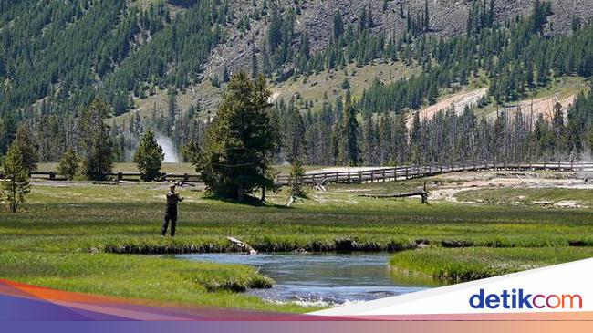 Pangkas Anggaran ala Amerika: Banyak Taman Nasional PHK Staf, Kurangi Jam Buka