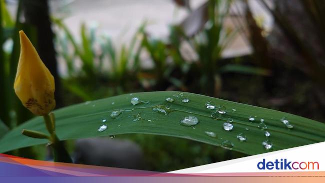 Jakarta-Depok-Bekasi Biasa Gerah Terasa Dingin, Ini Penyebabnya