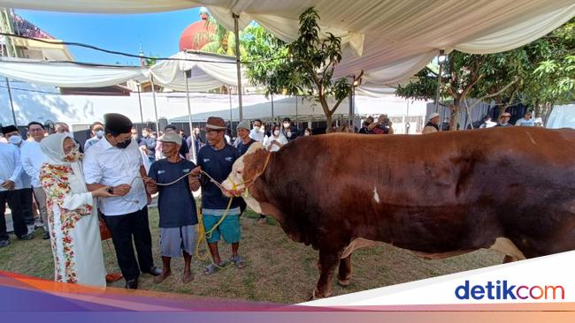 Kumpulan Contoh Proposal Permohonan Hewan Kurban