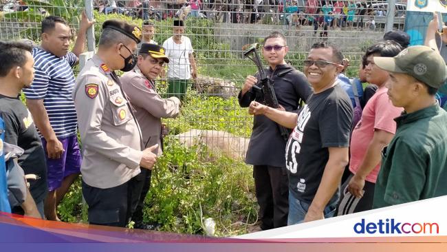 Buffalo in Tangerang Angry Then Fleeing Until Officers Shot