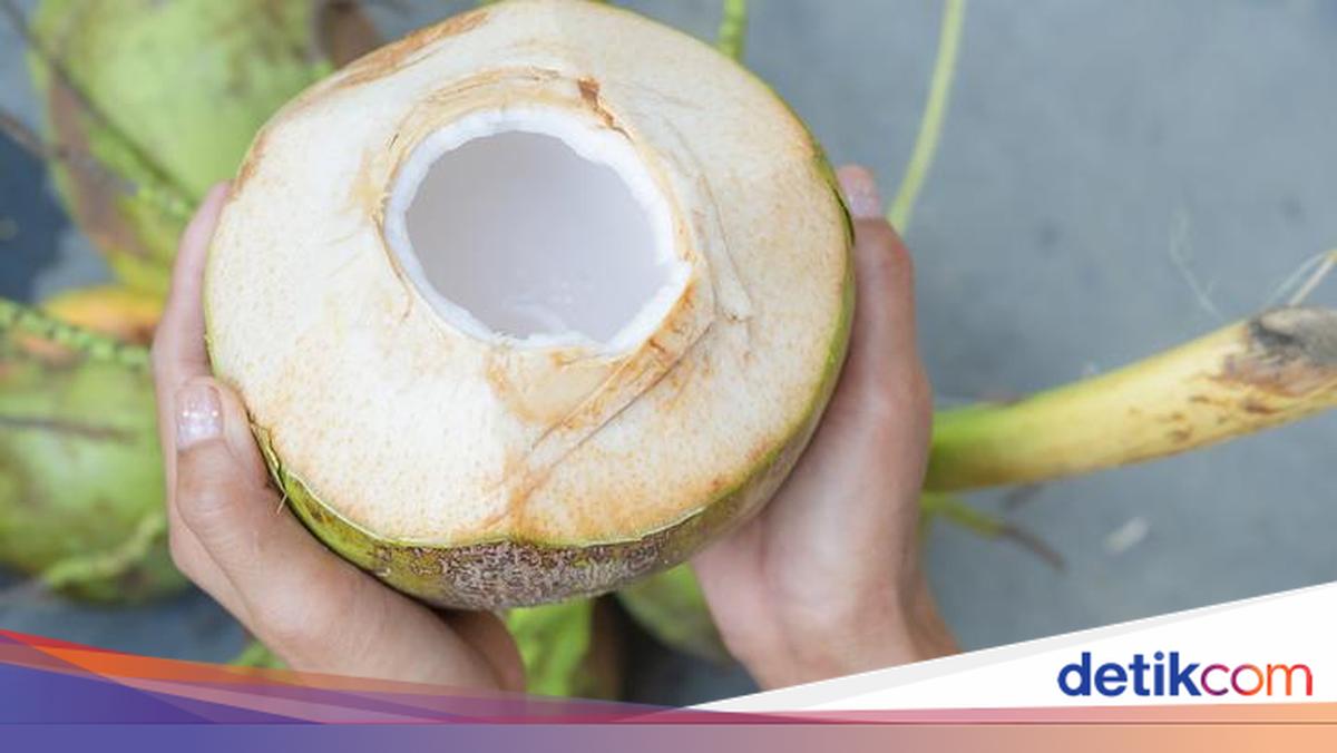 10 Manfaat Air Kelapa untuk Kesehatan, Stabilkan Tekanan Darah-Kolesterol 10 Manfaat Air Kelapa untuk Kesehatan, Stabilkan Tekanan Darah-Kolesterol