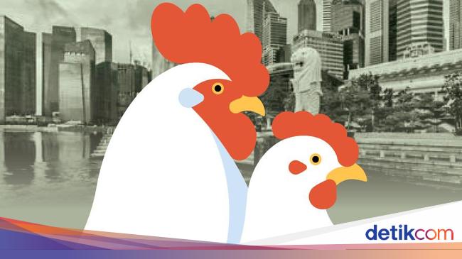 Singapore’s Journey from Chicken Meat Crisis to Imports from RI