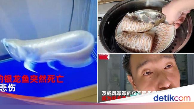 This Man Is Desperate To Eat His Pet Arowana Fish For IDR 67 Million