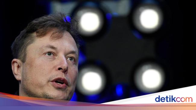 Walhi cs Sends Letter to Elon Musk, Bans Investment in Indonesia!