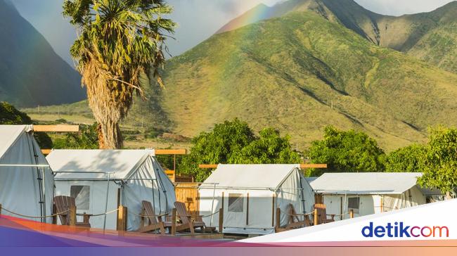 Dampak Positif Camping Terhadap Kesehatan Mental: Temuan Peneliti Mengungkap Manfaatnya