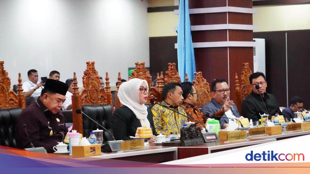 Andi Ina-Ni'matullah Tegaskan Bibit Nanas Tak Pernah Dibahas di DPRD Sulsel