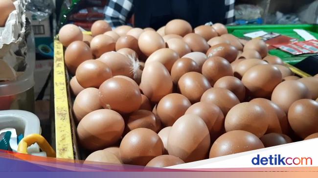 Pak Mendag Harga Telur Ayam Masih Mahal Tembus Rp 32000kg Paperplane 9217