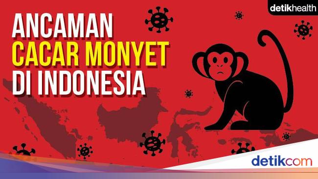 IDI warns about monkeypox, the distribution of suspects in Indonesia is revealed