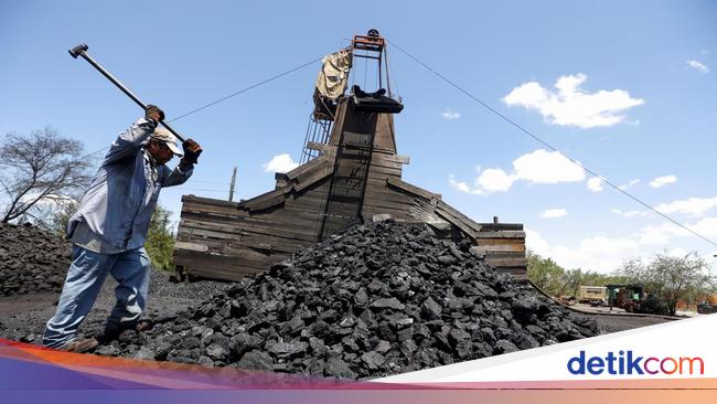 Coal Entrepreneurs Choose to Pay Fines for Exports Instead of Domestic Supply