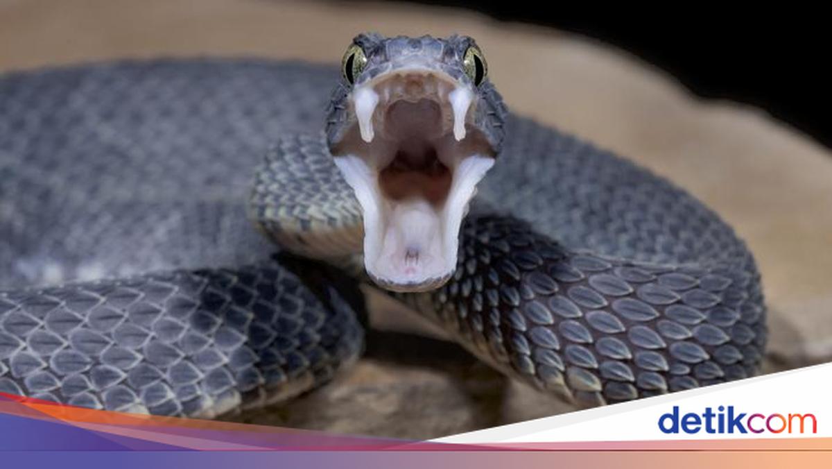 Foto testlar, erotik kasting