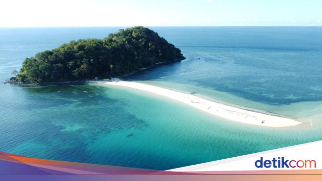 4 Zona Laut Berdasarkan Kedalamannya dan Spesies yang Mendiami
