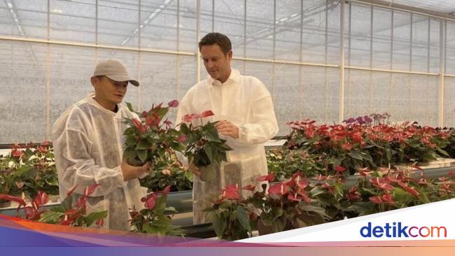 Pulang Kampung, Jack Ma Banting Setir Jadi Petani